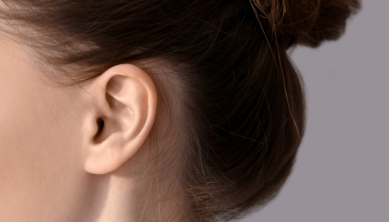 Hylen for ørerne: forstå tinnitus og find lindring hos Høreservice Danmark - Illustration