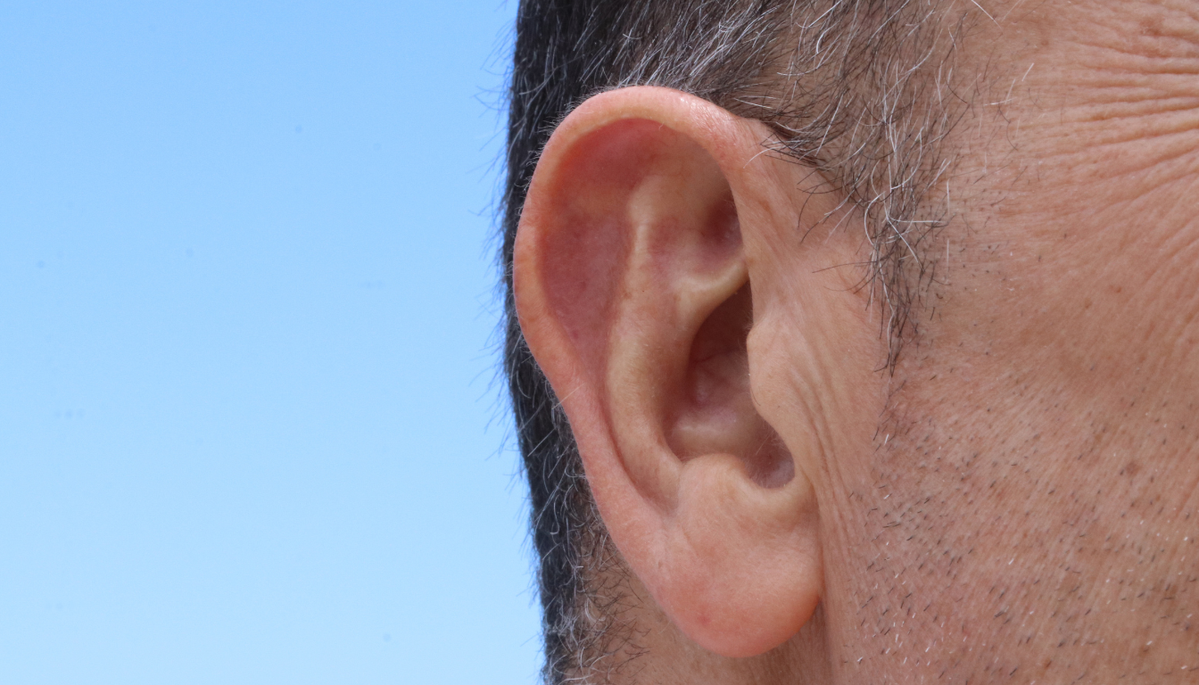 Tinnitus medicin: hvad du skal vide om behandling og lindring - Illustration