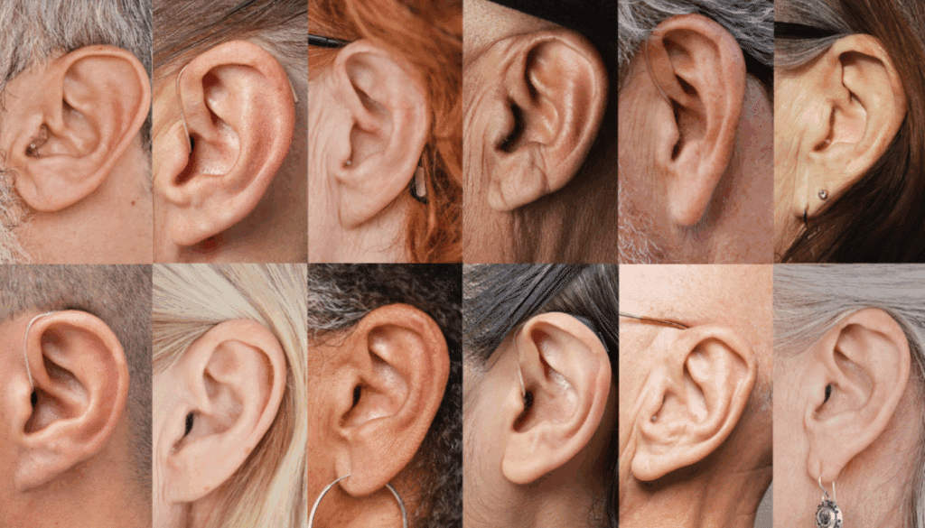 Høreapparat mod tinnitus: din vej til roligere dage - Illustration